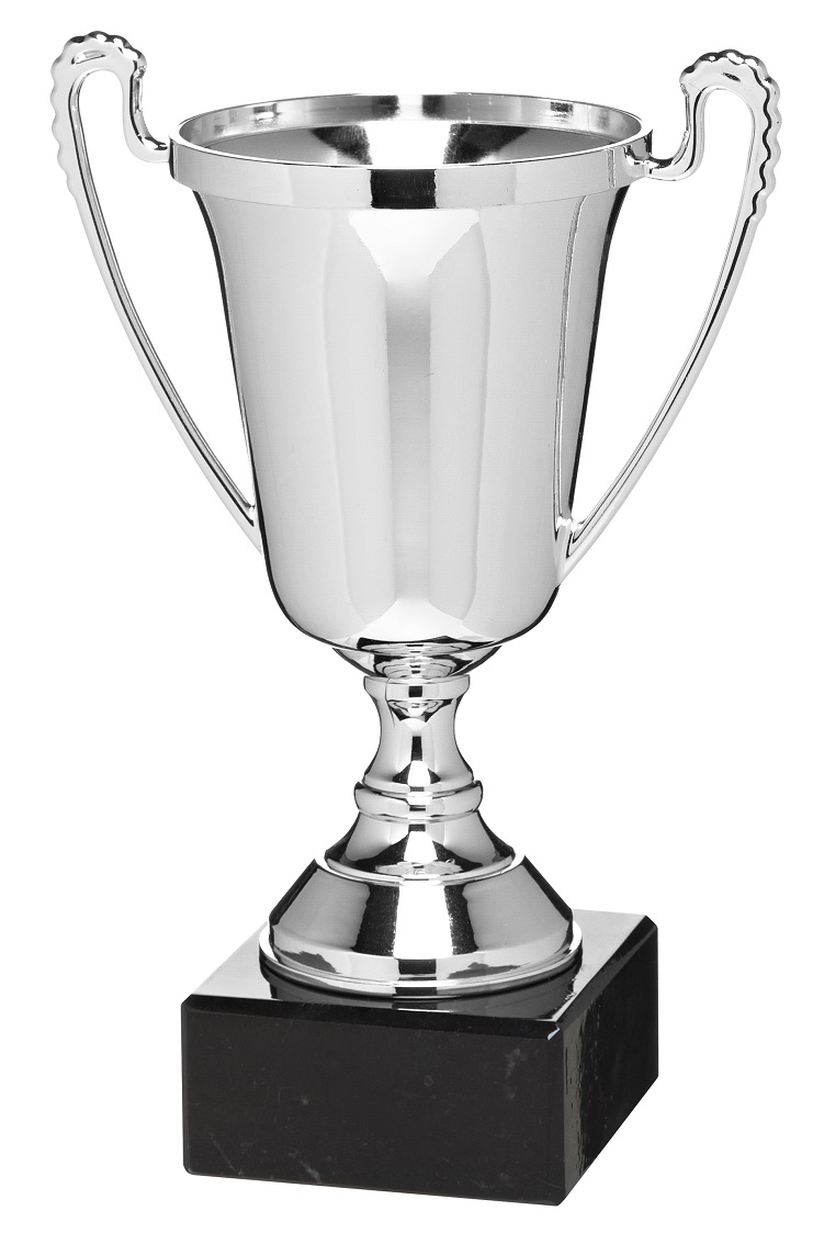 Fußball-Pokal X781 inkl.Gravur 26,5 cm
